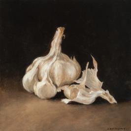 La tête d'ail 2 - 20 x 20 cm