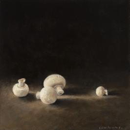 Les champignons 1 - 20 x 20 cm