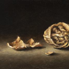 La noix - 10 x 20 cm