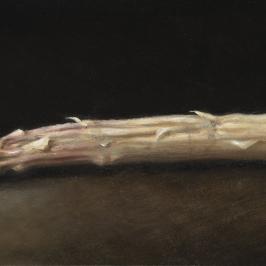 L'asperge blanche 1 - 17 x 31 cm