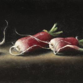 Les radis - 10 x 25 cm