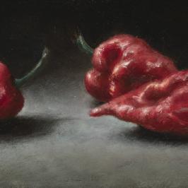 Les trois piments - 9 x 25 cm